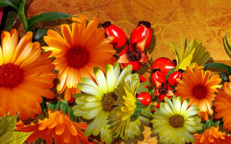 Заставка на рабочий стол осень цветы