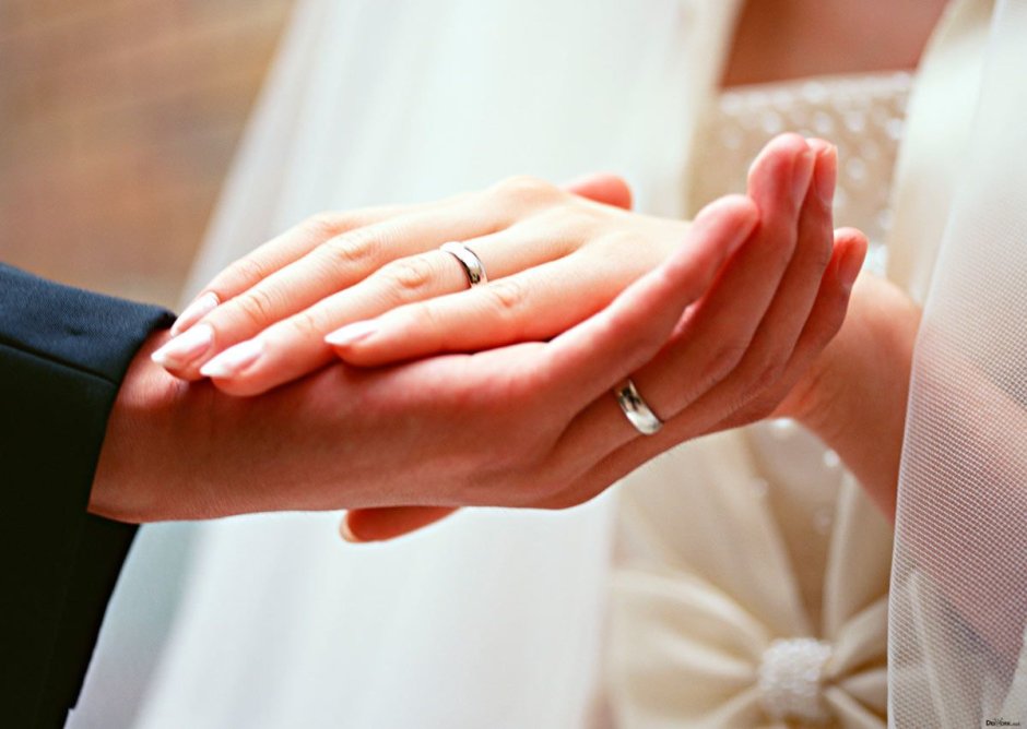 Свадьба руки с кольцами
