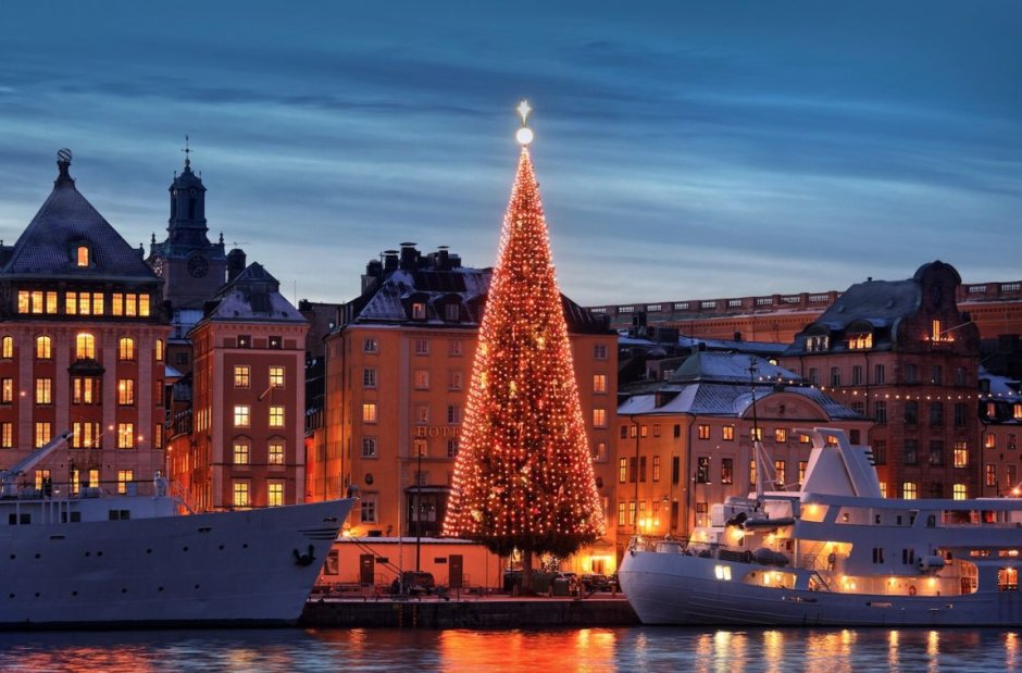 Новогодняя елка в Стокгольме