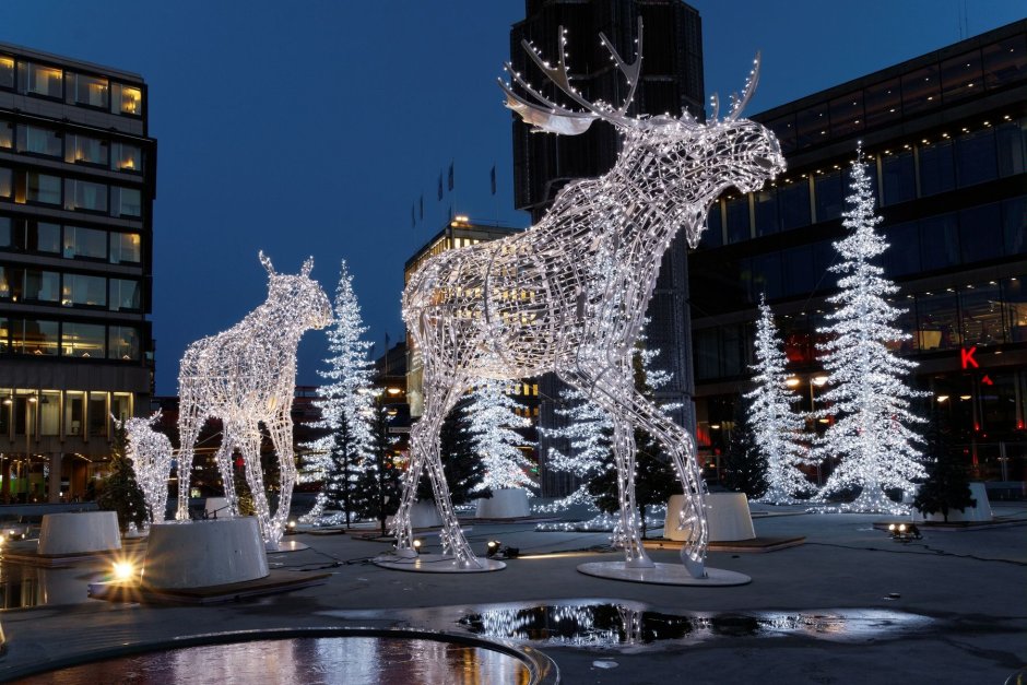 Рождественские лоси в Стокгольме