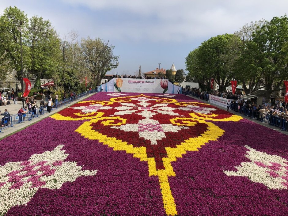 Стамбул фестиваль тюльпанов Султанахмет