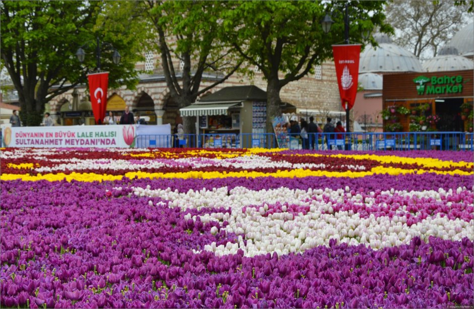 Международный фестиваль тюльпанов в Стамбуле