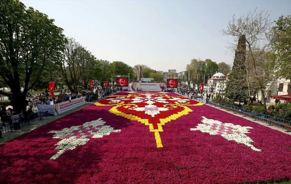 Фестиваль тюльпанов в Стамбуле 2021