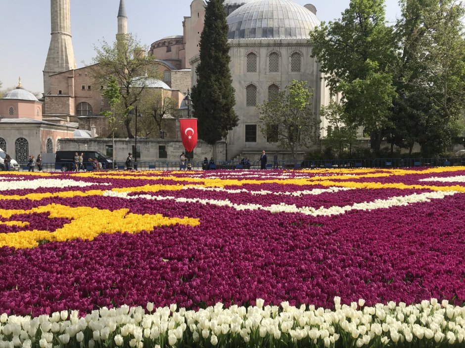 Фестиваль тюльпанов Стамбул 2023