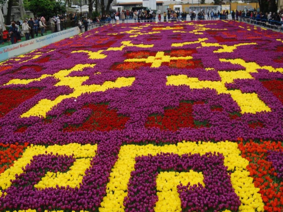 Фестиваль тюльпанов в Стамбуле