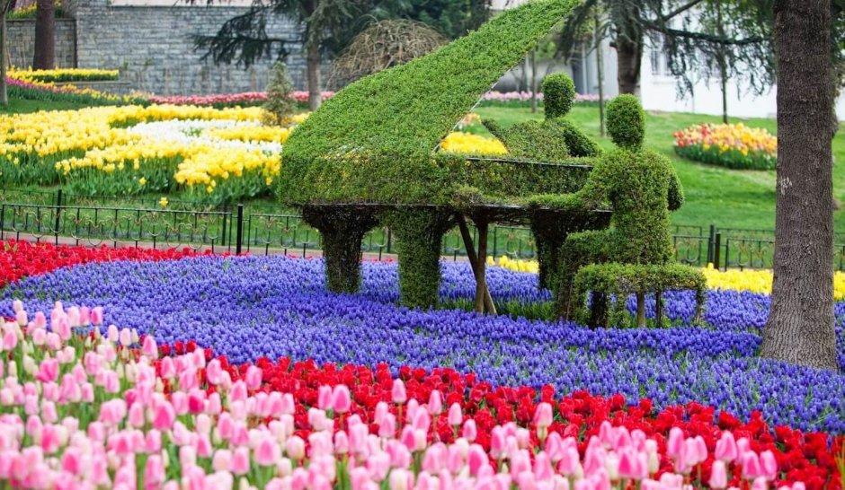 Парк Эмирган фестиваль тюльпанов
