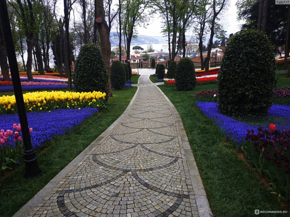 Фестиваль тюльпанов в Стамбуле 2020