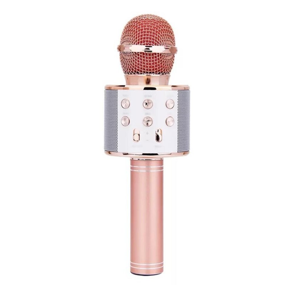 Микрофон WS-858