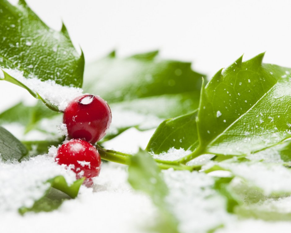 Фон ягоды в снегу