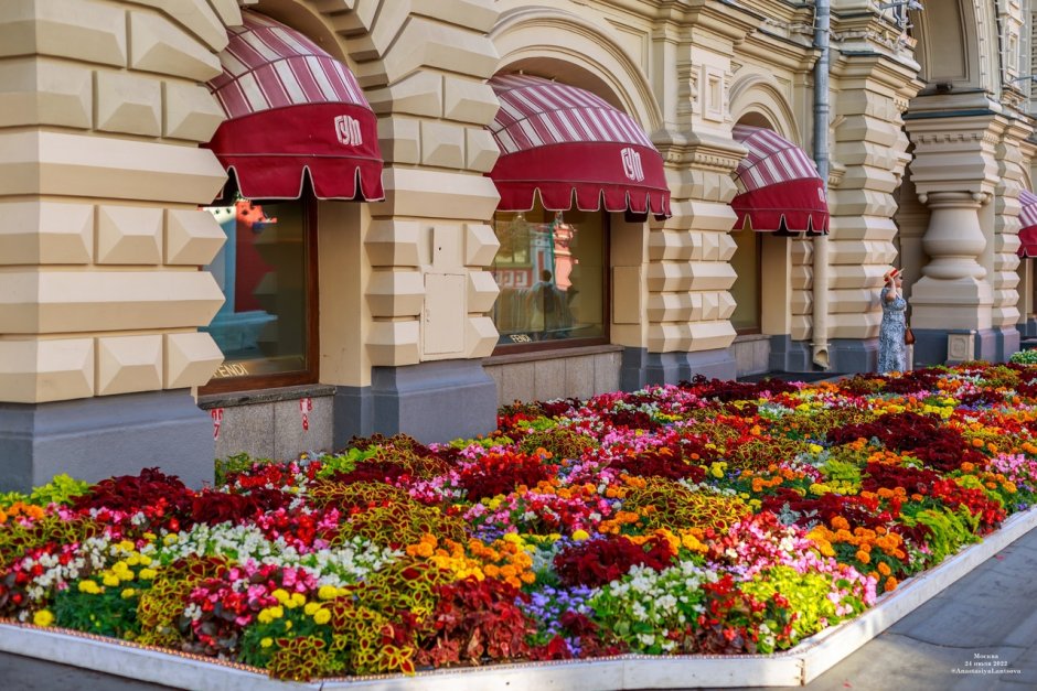 Цветочный джем Москва Сити