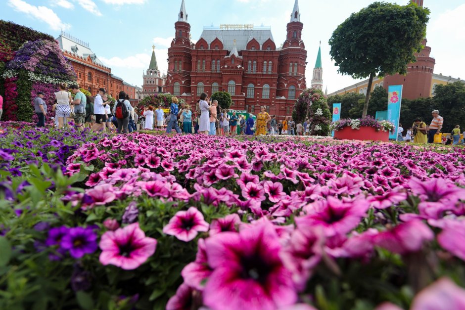 Фестиваль цветочный джем в Москве 2022