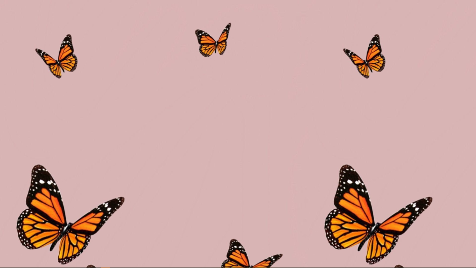 Обои с бабочками