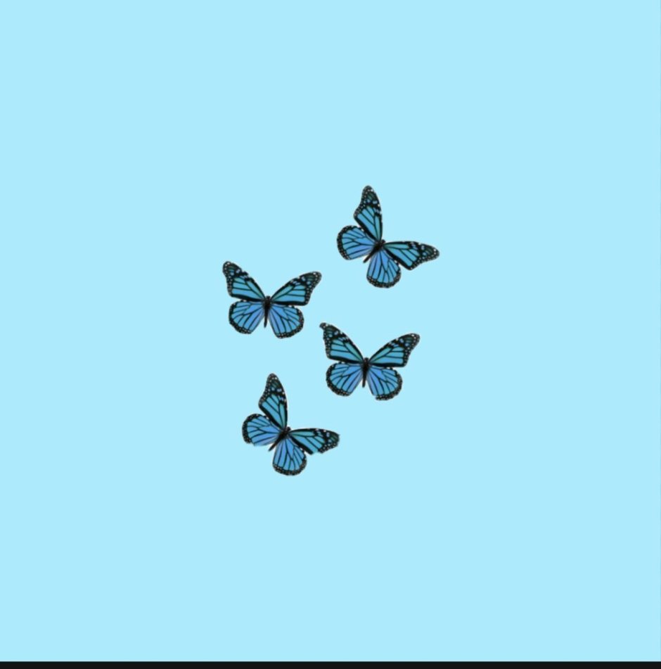 Эстетичные бабочки голубые