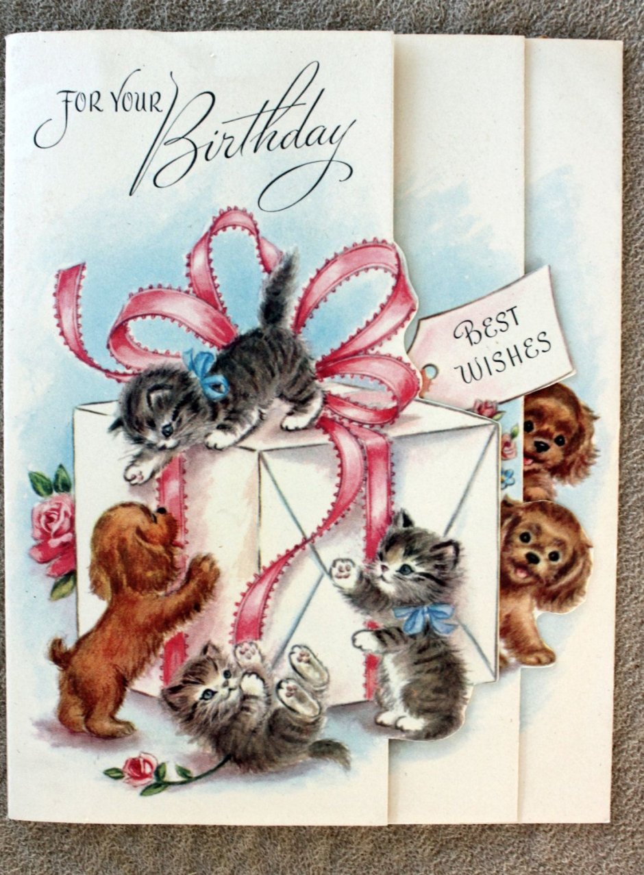 Советские открытки с котами с днем рождения