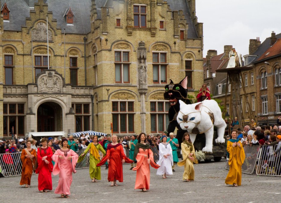 Фестиваль котов (Каттенстут) в Бельгии