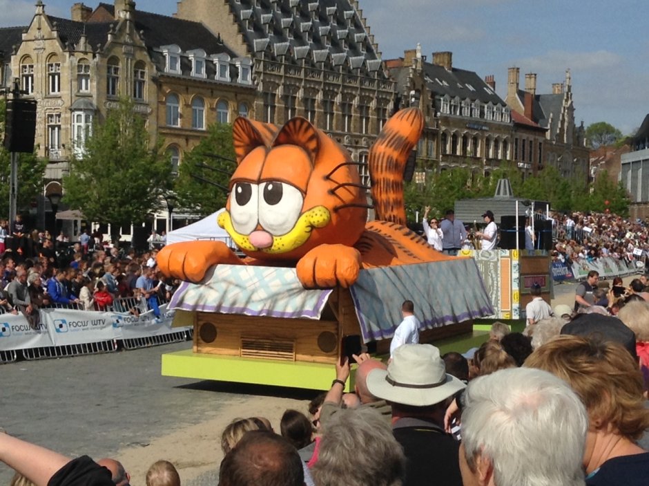 Кошачьи карнавалы в Бельгии