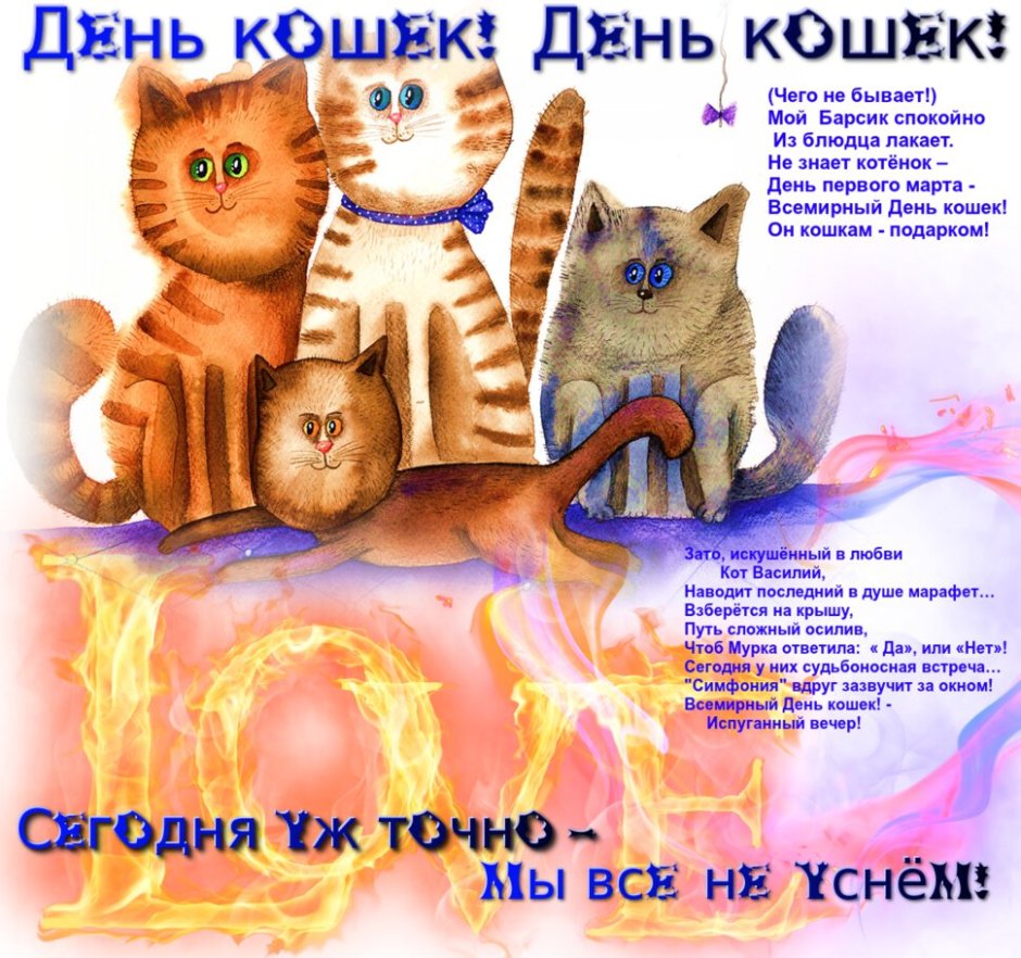 Харьковский кот Степан