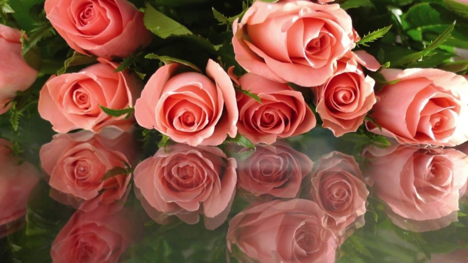 Открытки с розами красивые