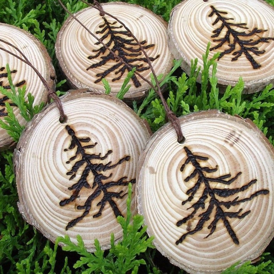 Спилы дерева для декора
