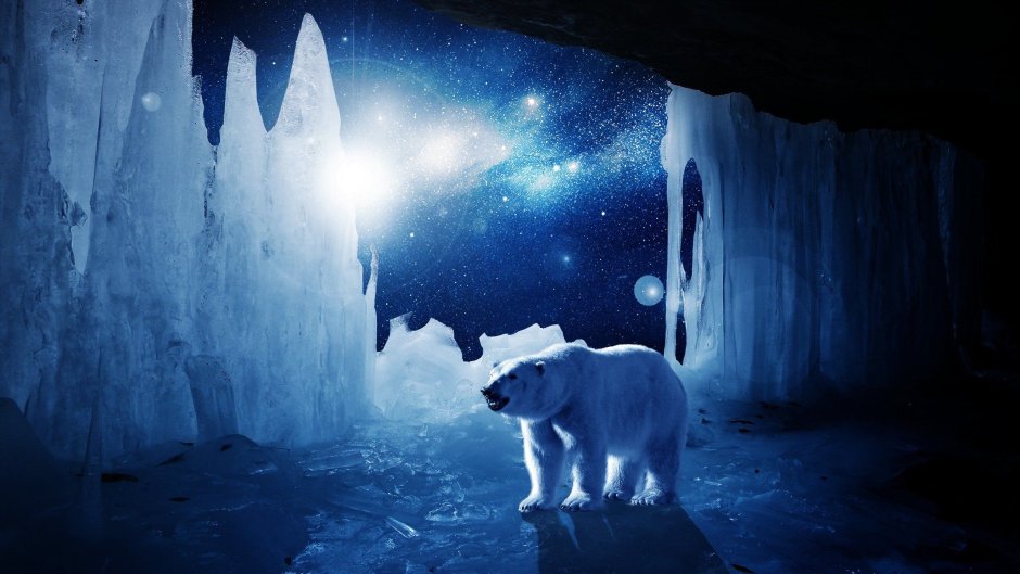 Белый медведь и Северное сияние фото