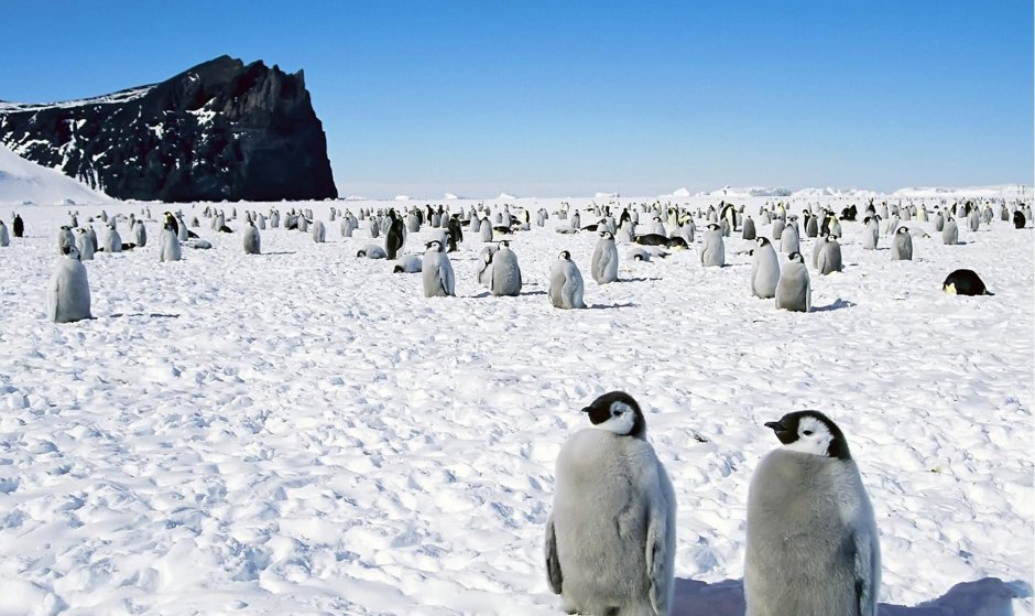 Южный полюс Антарктика