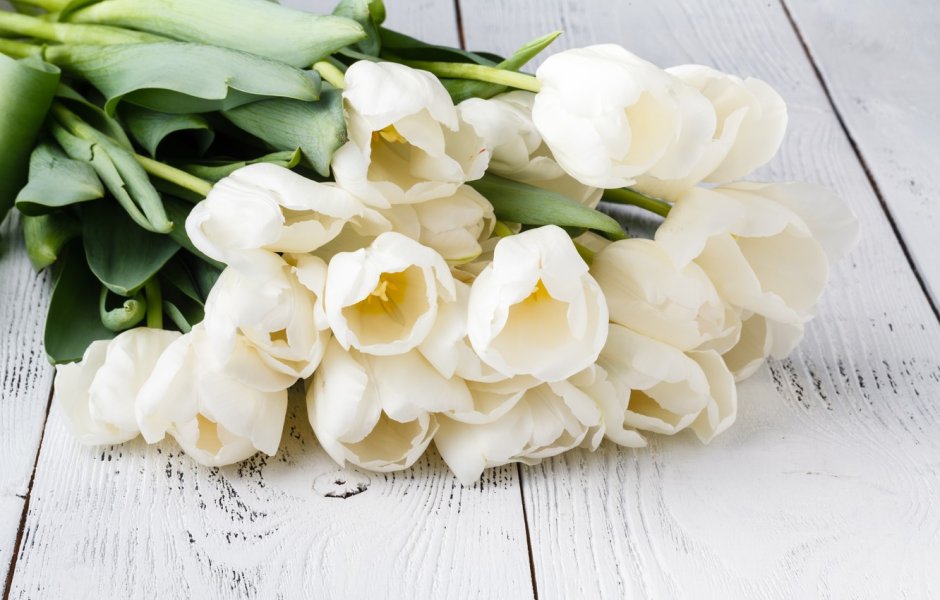 Нежны букеты с белыми тюльпанами