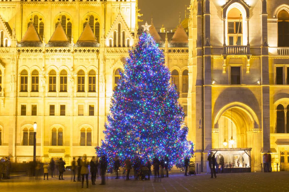 Новогодняя елка 2020 Будапешт
