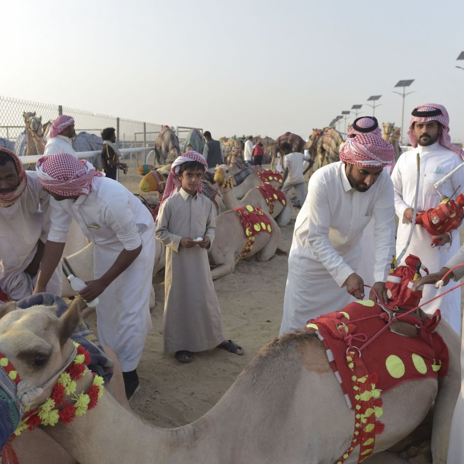 Фестиваль в Саудовской Аравии в пустыне 2022