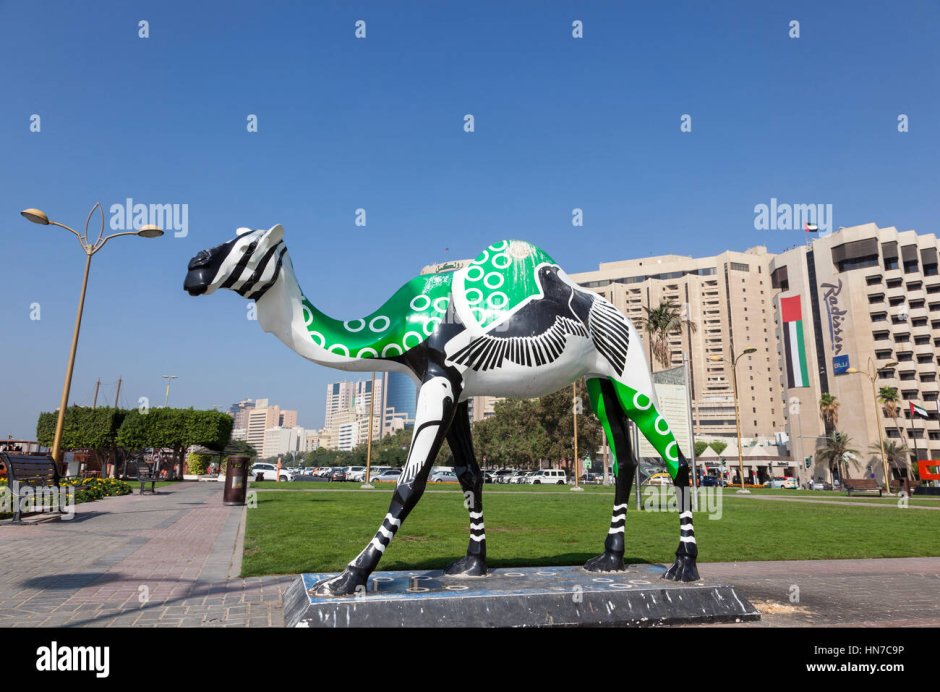 Дубай Шарджа статуя верблюд