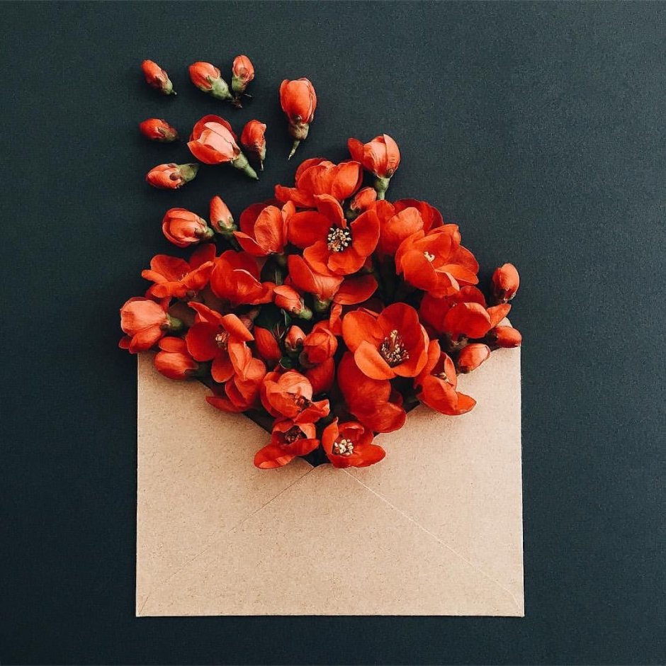 Креативные открытки цветы