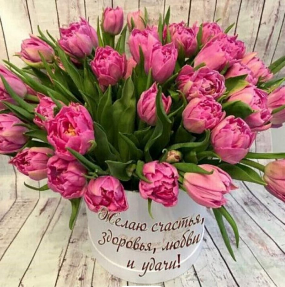 С днём рождения тюльпаны