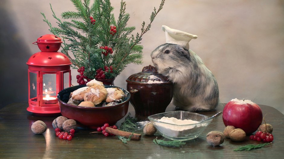 Рождественские крысы