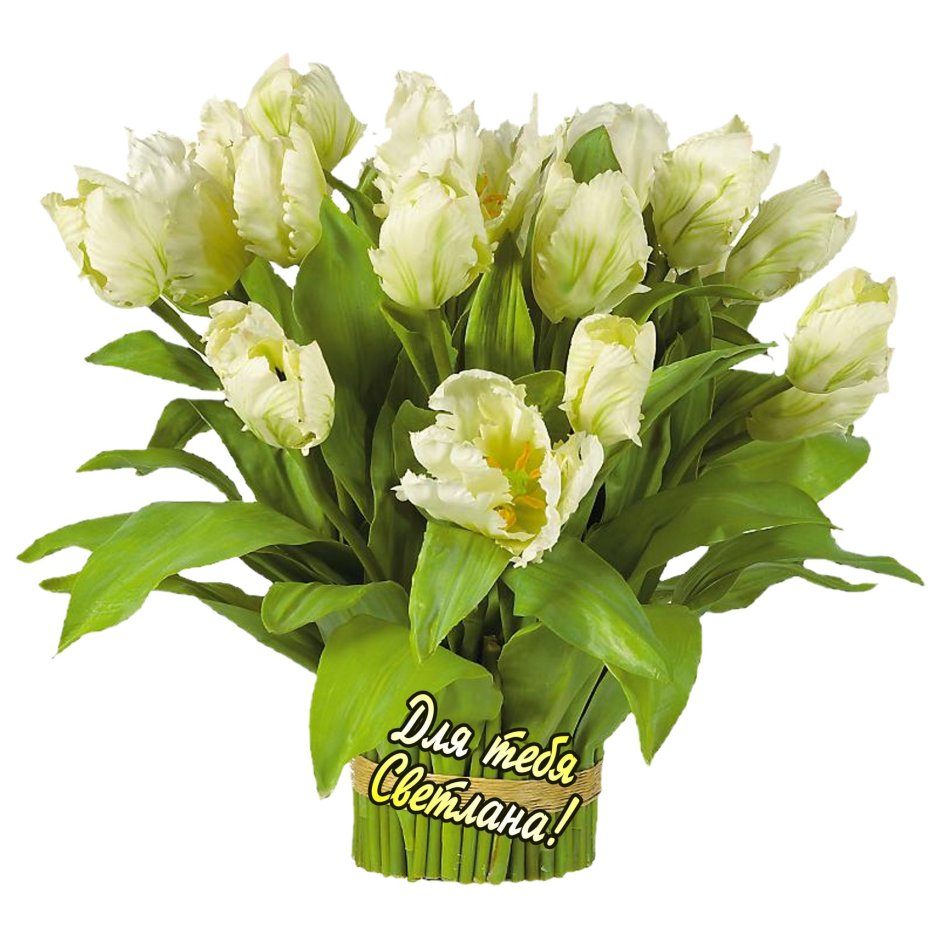 Букет тюльпанов для тебя