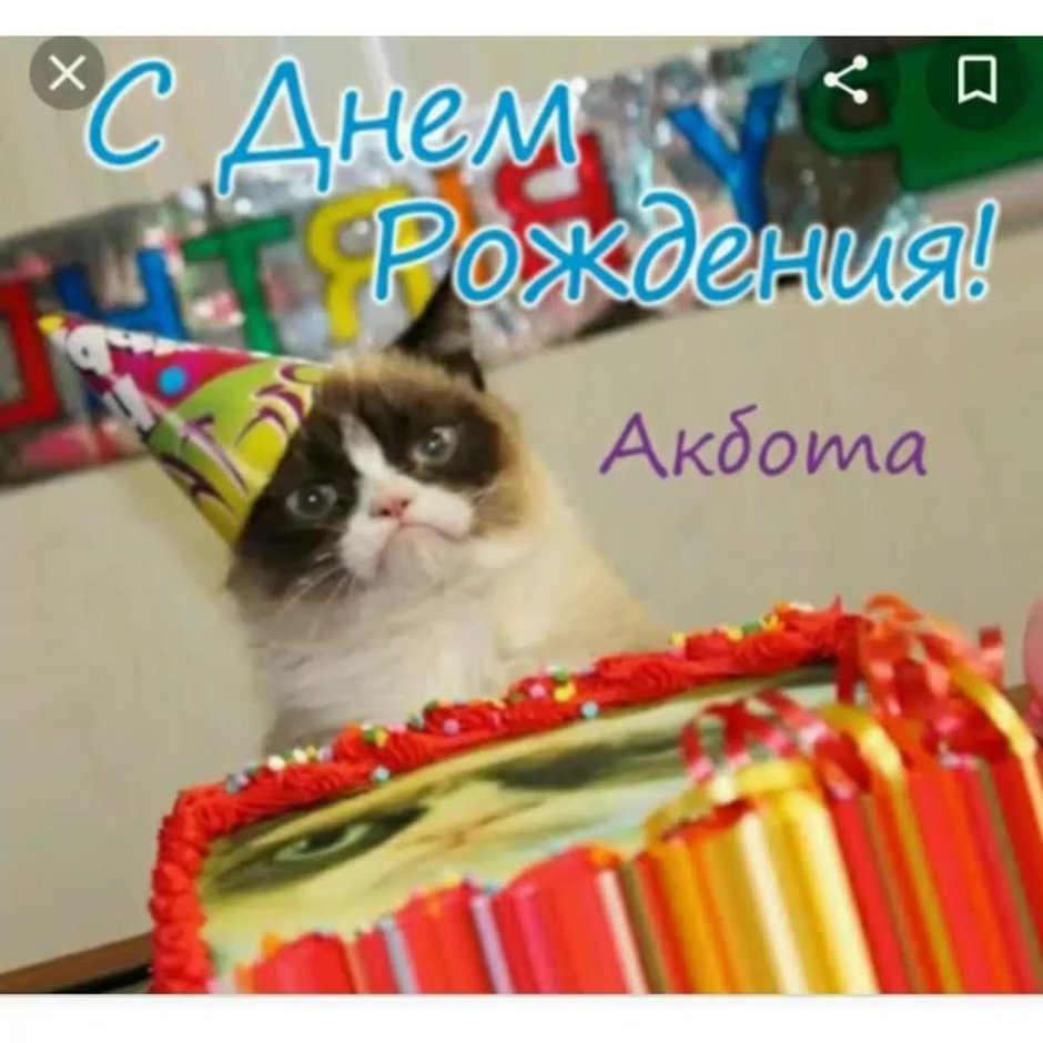 С днем рождения адам