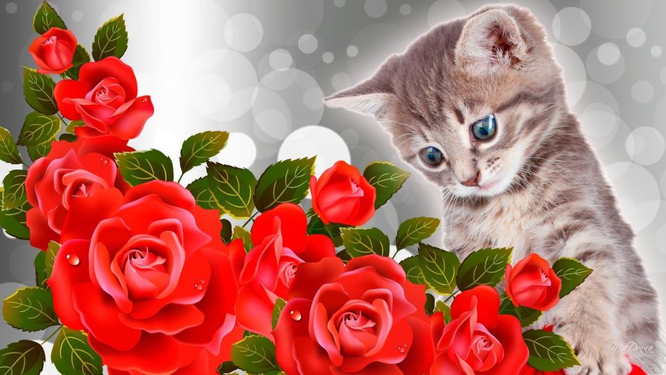 Кот на фоне роз