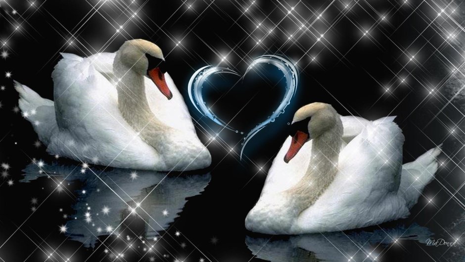 Романтические лебеди