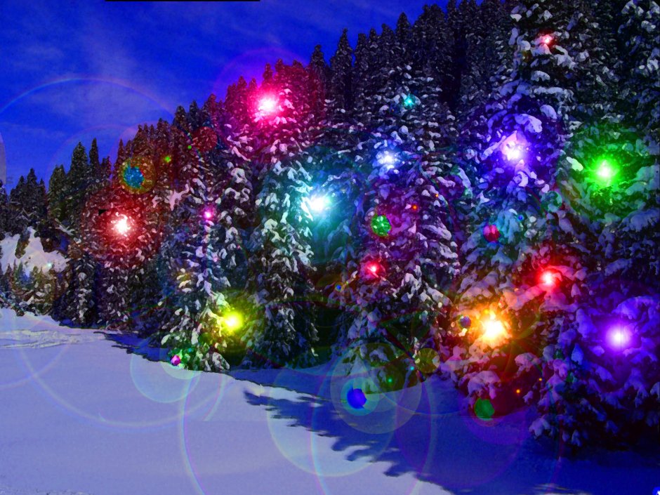Сказочный новогодний лес