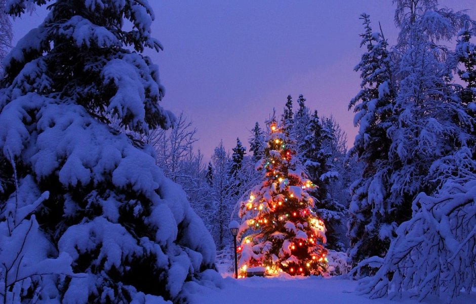 Дед Мороз в ночном лесу