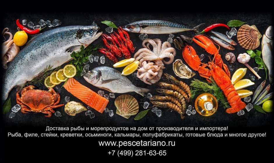 Баннер рыба морепродукты
