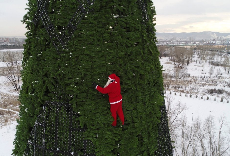 Самая большая елка в России