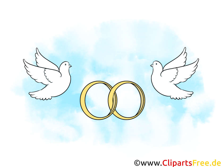 Свадебные обручальные кольца и голуби