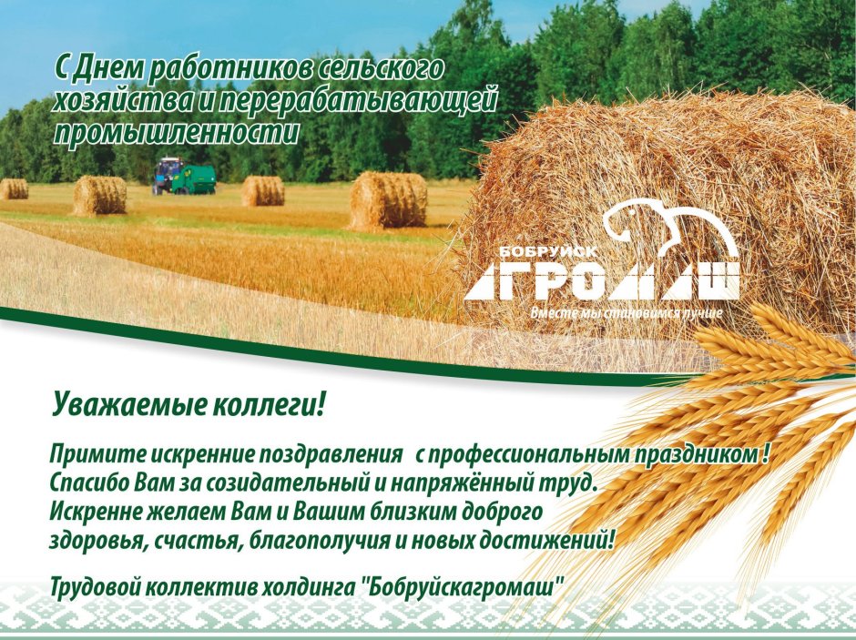 День работника сельского хозяйства в 2021 году какого числа в России