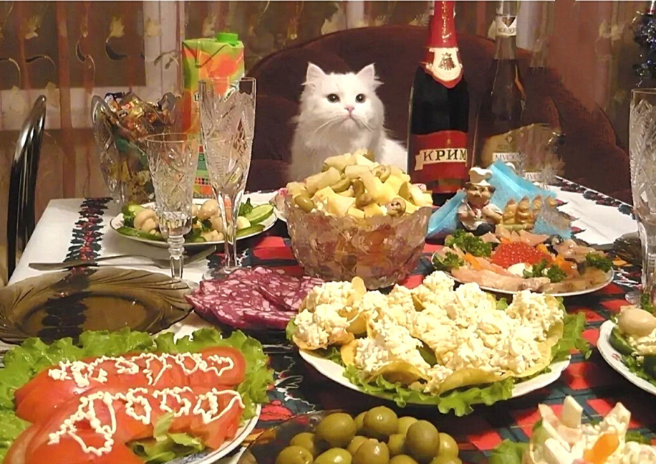 Кот за праздничным столом