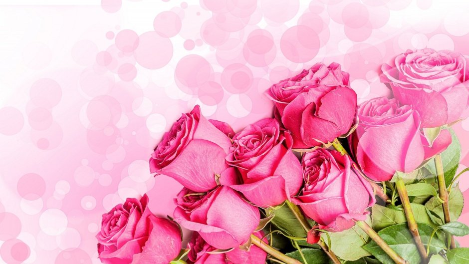 Розовые розы открытка