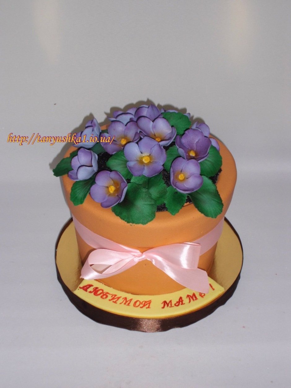 Торт цветочный горшок с цветами