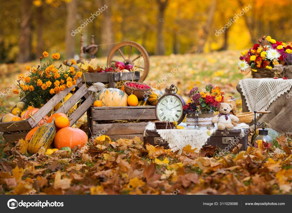 Осенний декор фотозоны