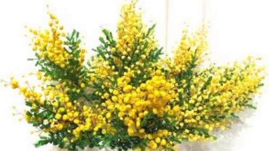 Веточки с желтыми цветами на 8 марта
