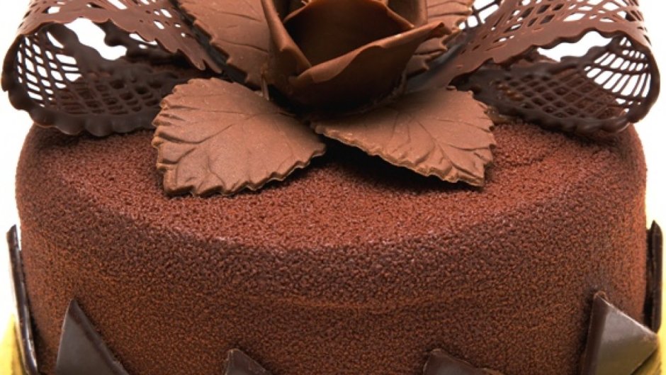 Шоколадный торт с шоколадным бантиком