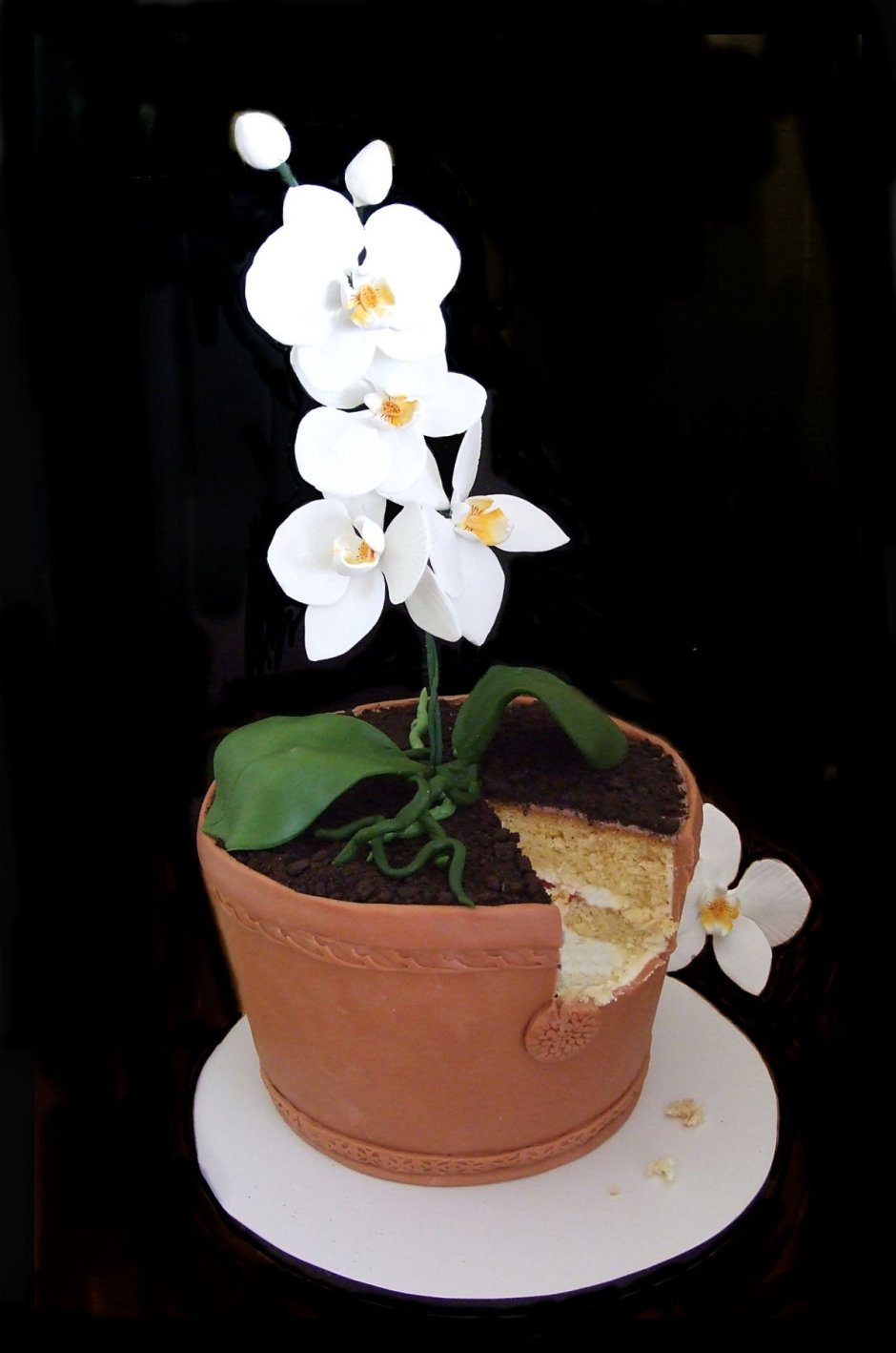 Торт Орхидея в горшке