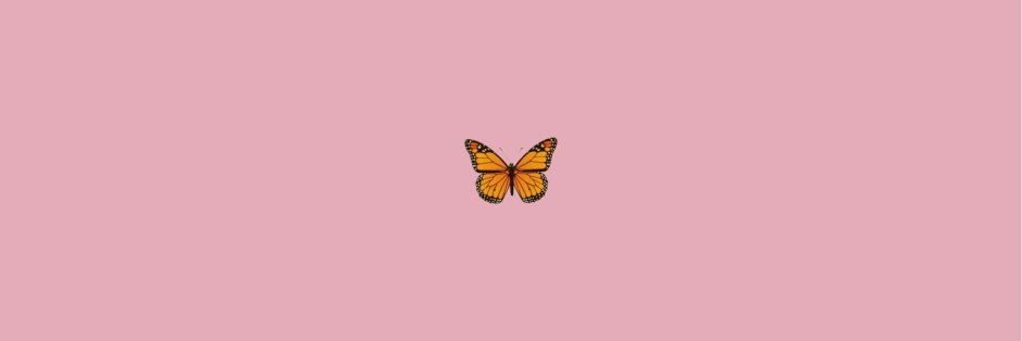 Бабочка на розовом фоне Эстетика